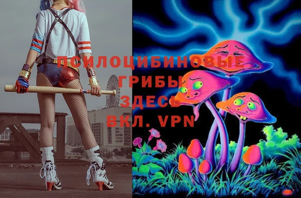 ГАЛЛЮЦИНОГЕННЫЕ ГРИБЫ Карпинск
