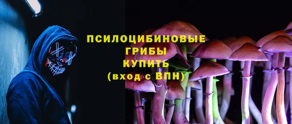 ПСИЛОЦИБИНОВЫЕ ГРИБЫ Карталы