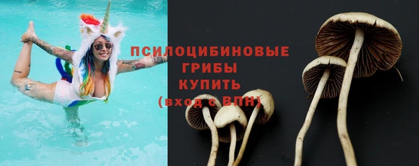 герыч Касимов