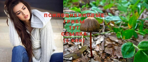 ПСИЛОЦИБИНОВЫЕ ГРИБЫ Карталы