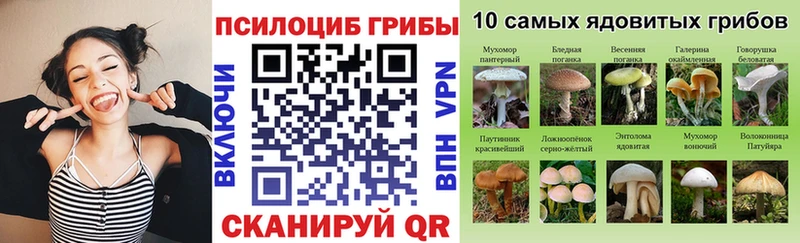 Псилоцибиновые грибы Magic Shrooms  Павлово 