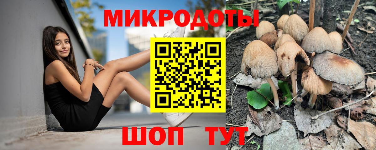 Галлюциногенные грибы Magic Shrooms Павлово