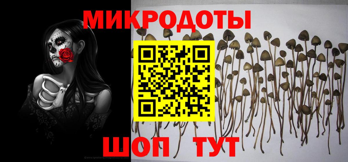 Павлово  Псилоцибиновые грибы Magic Shrooms  Псилоцибиновые грибы мицелий  Вход с VPN 